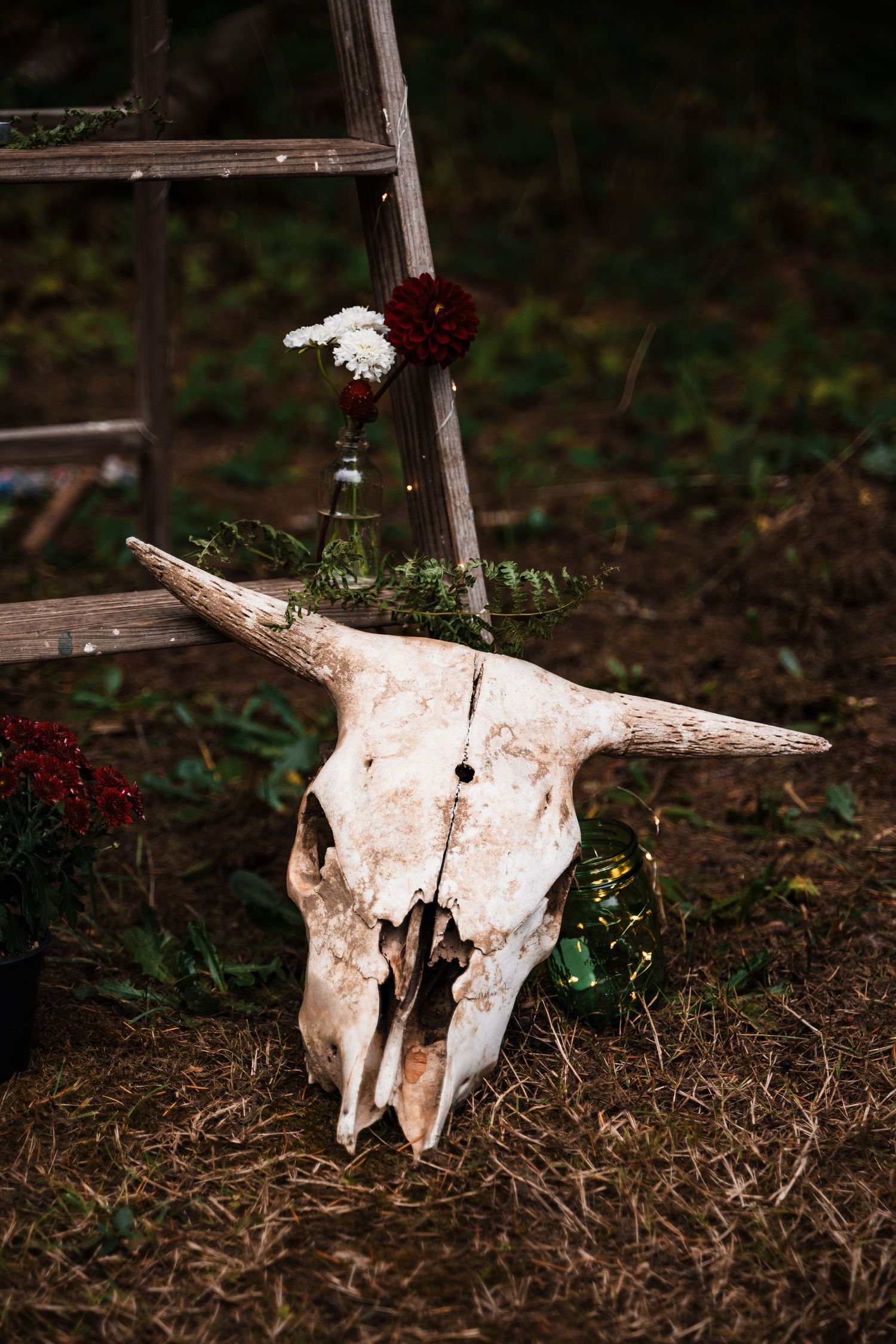 A decorative cow skull with flowers in bottles creates a rustic outdoor display against a wooden ladder.
