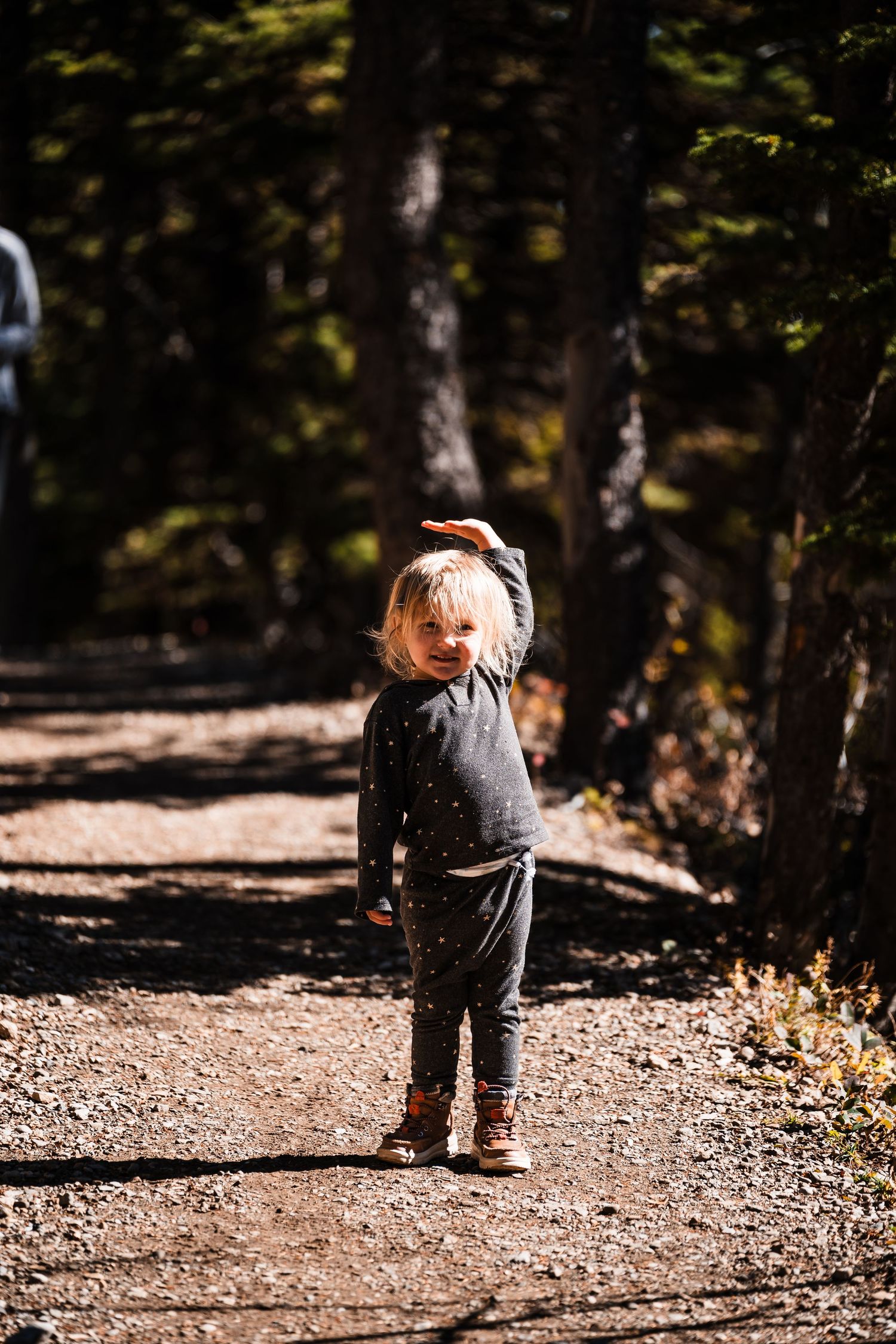 A small child wearing denim overalls walks along a sunlit forest path covered in fallen leaves.