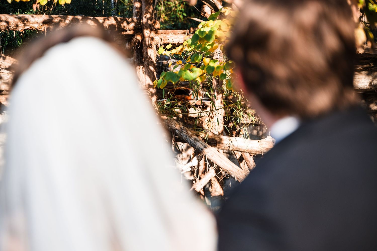 Artistic wedding photo composition showing blurred profile silhouettes.