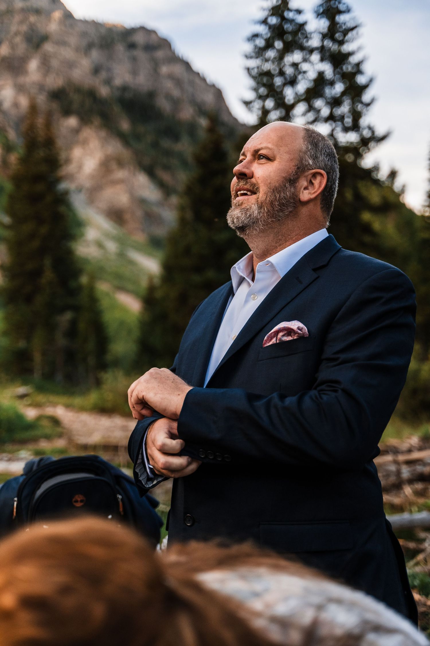 A suited figure stands against a dramatic mountain backdrop with evergreen trees.