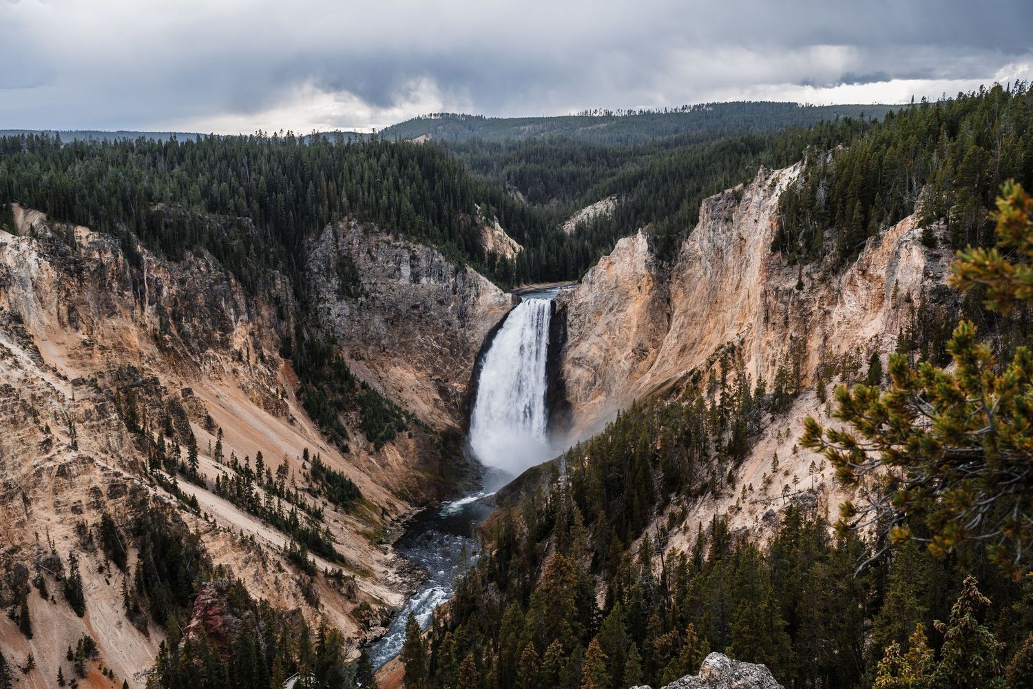Panoramic view of the Grand Canyon of Yellowstone with cascading waterfalls and forested cliffs under cloudy skies.
