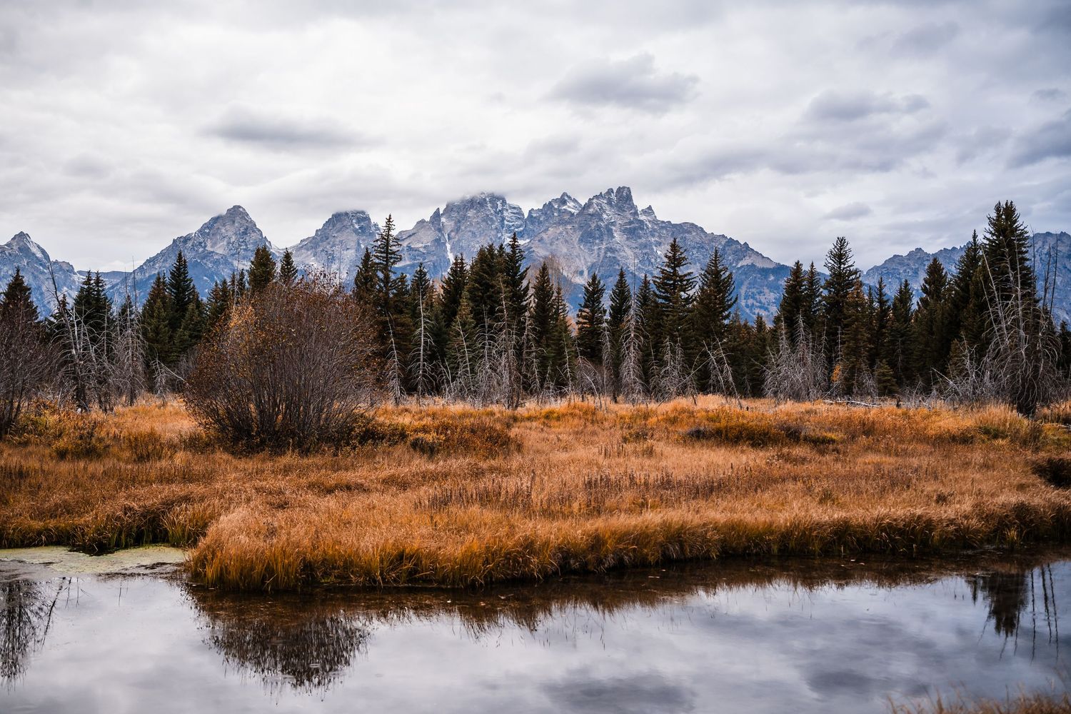 Snow-capped mountain range reflecting in calm water with autumn foliage in foreground.