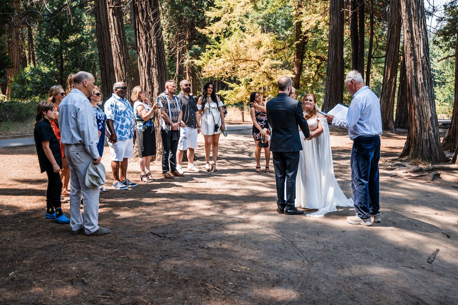 Wedding party stands in a row under tall redwood trees on a sunlit forest path during an outdoor ceremony.