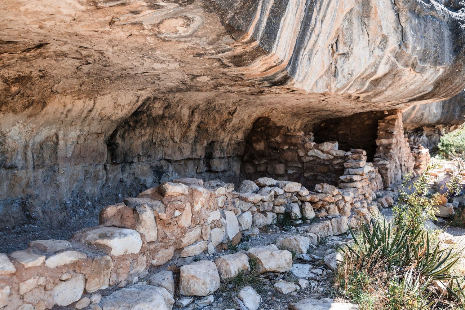 Ancient cliff dwelling ruins with stone walls nestled under a natural rock overhang at an archaeological site.