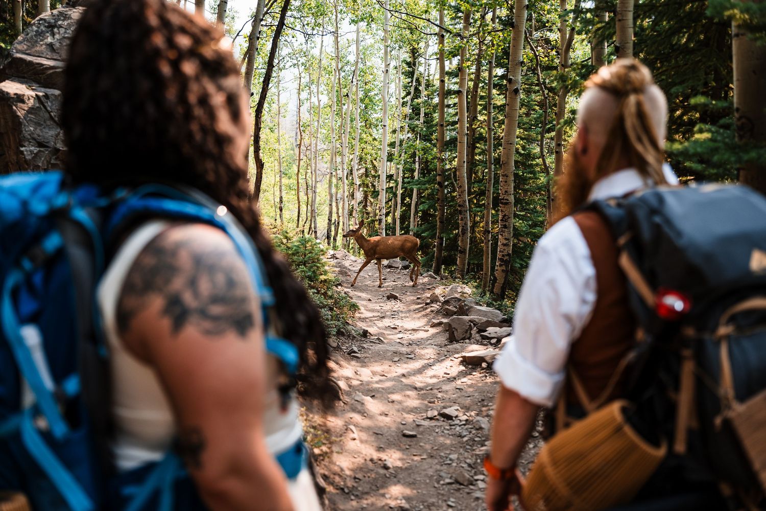 Hiking couple spots deer on forest trail during adventurous mountain elopement.