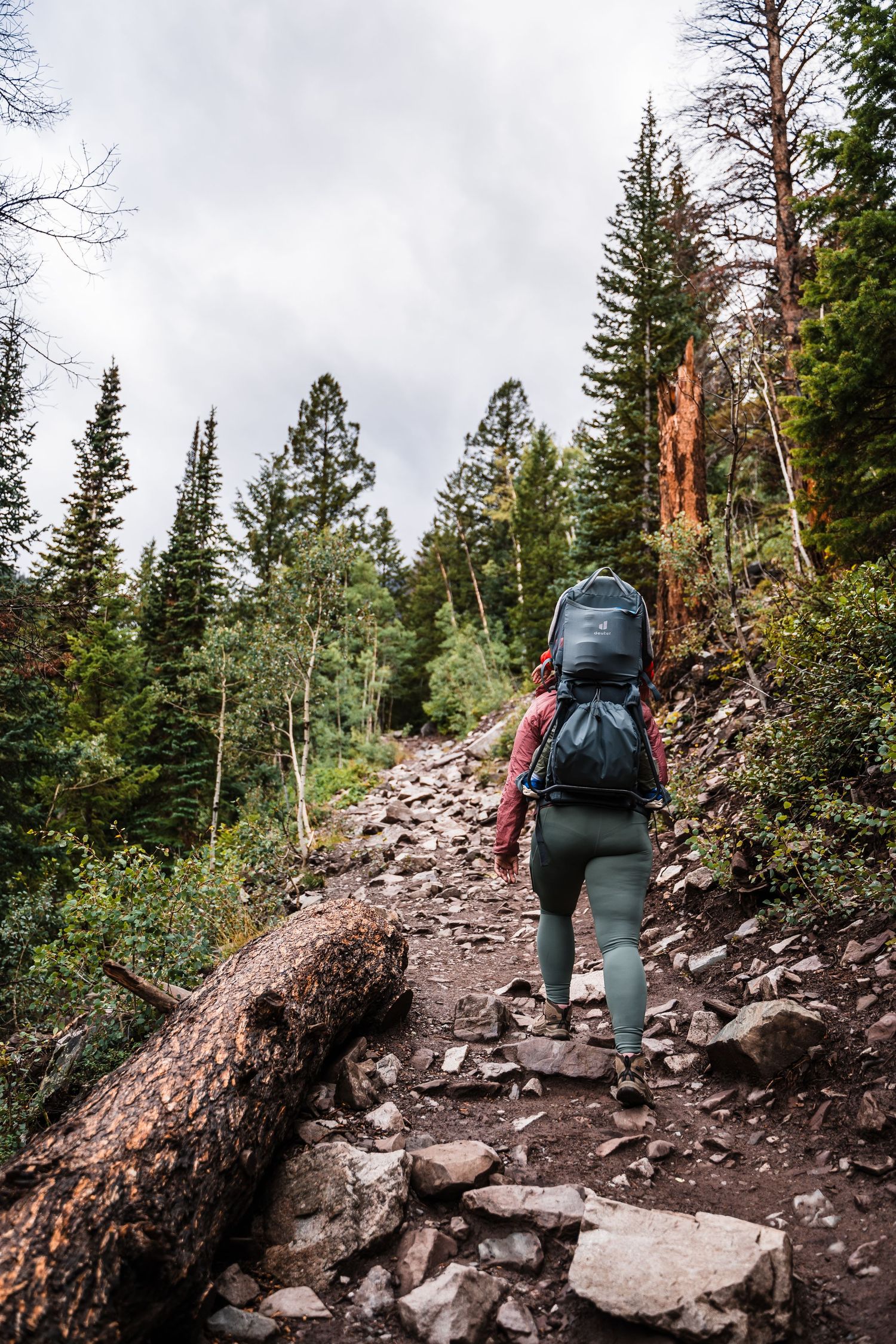 Rocky mountain trail with hiker ascending through evergreen forest under cloudy skies.