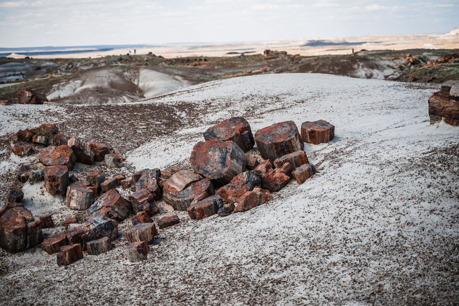 Pile of red bricks scattered on snowy ground against a barren winter landscape.