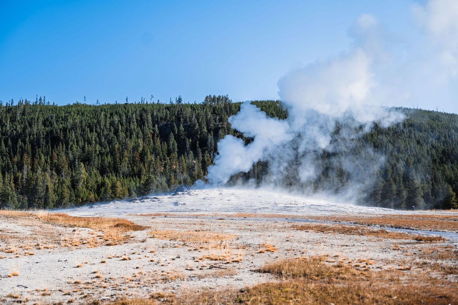 Panoramic view of geothermal activity with steam rising across snowy landscape.