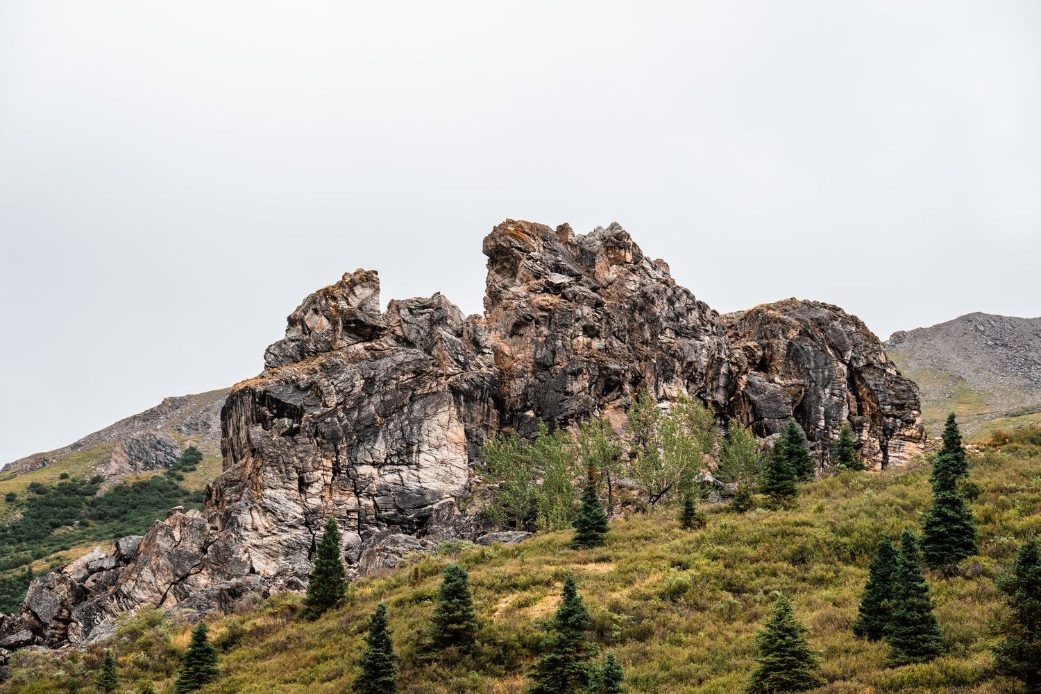 Rugged rocky outcrop on a grassy mountainside with scattered evergreen trees against a cloudy sky.