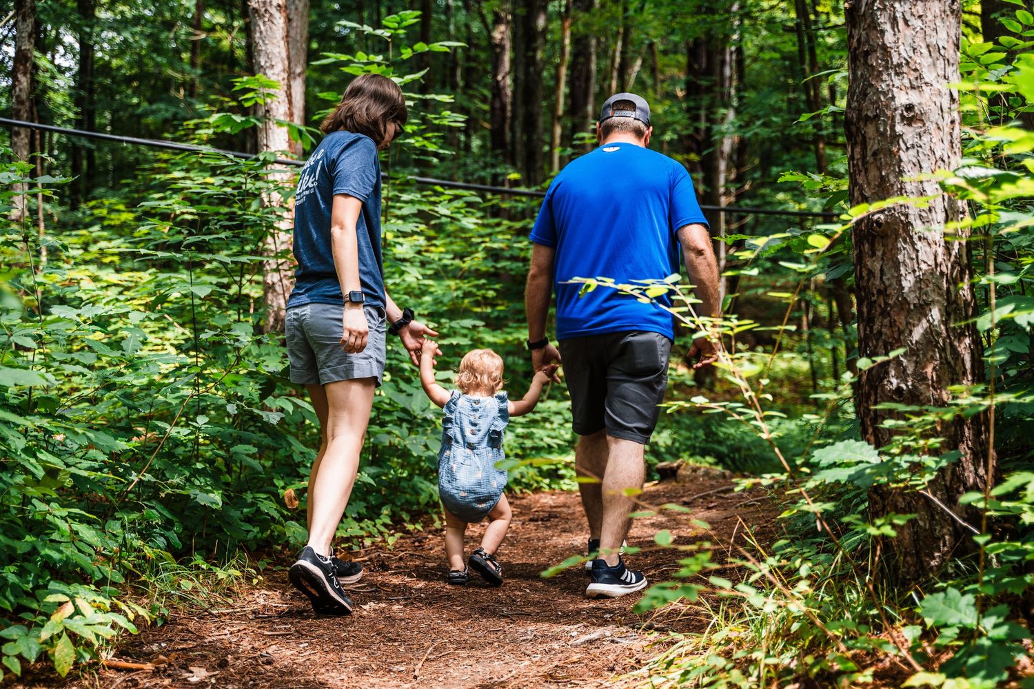A family walks together holding hands on a wooded hiking trail surrounded by lush green ferns and tall trees.