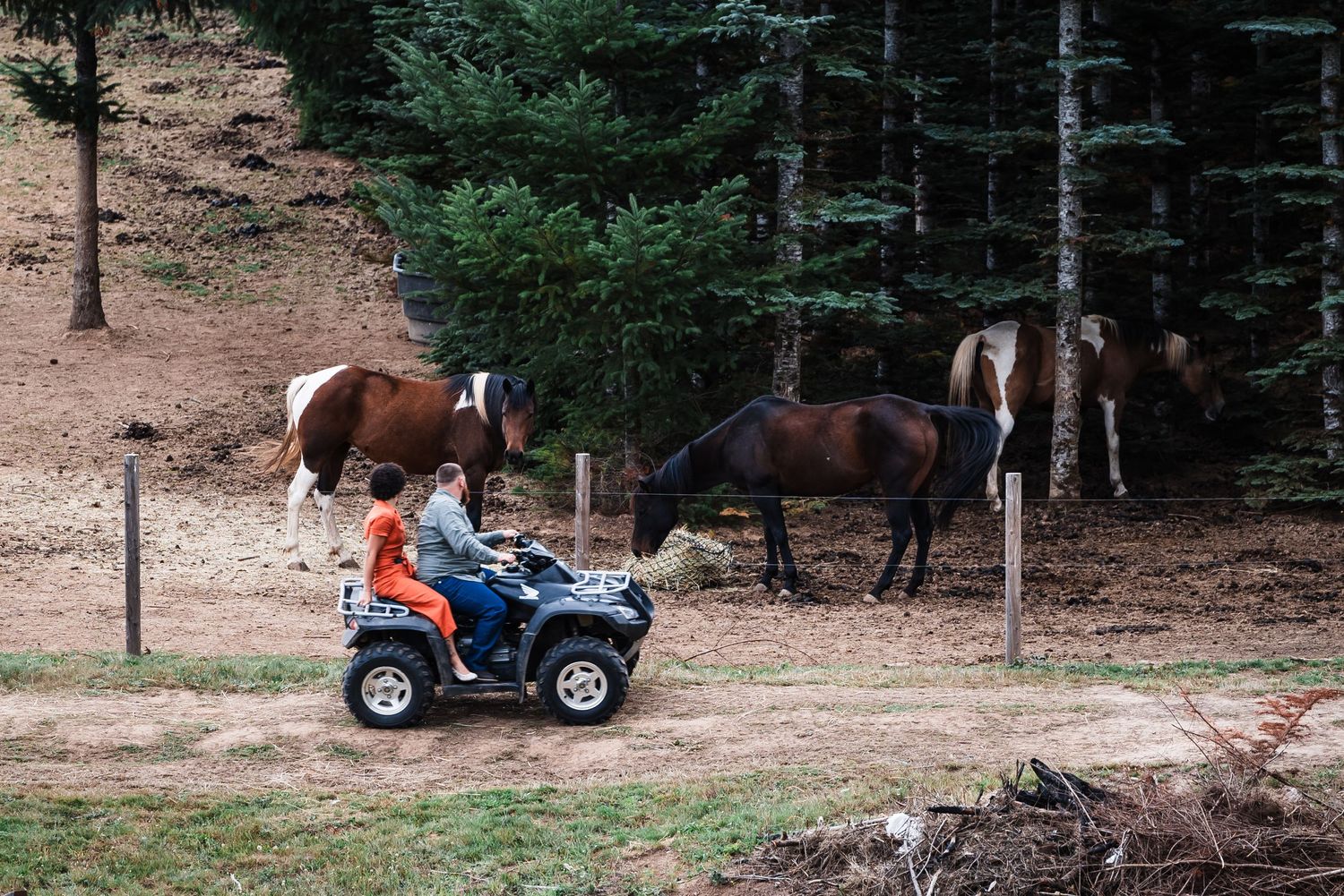 Person riding a quad ATV near two grazing horses at the edge of a forest.