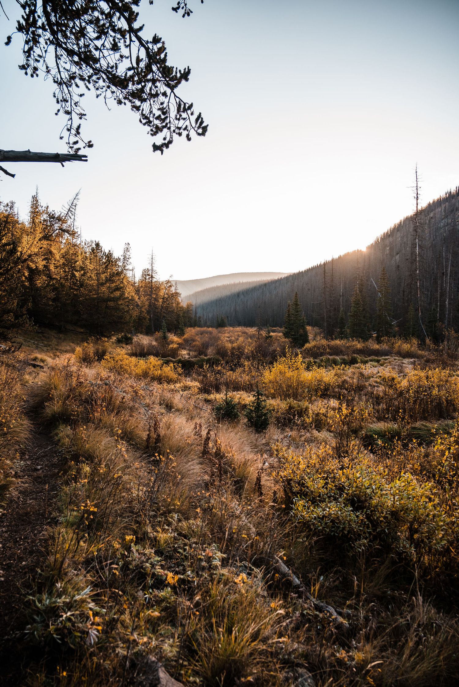 Golden sunlight illuminates an autumn mountain landscape with dried grass and yellow foliage in a wilderness valley.
