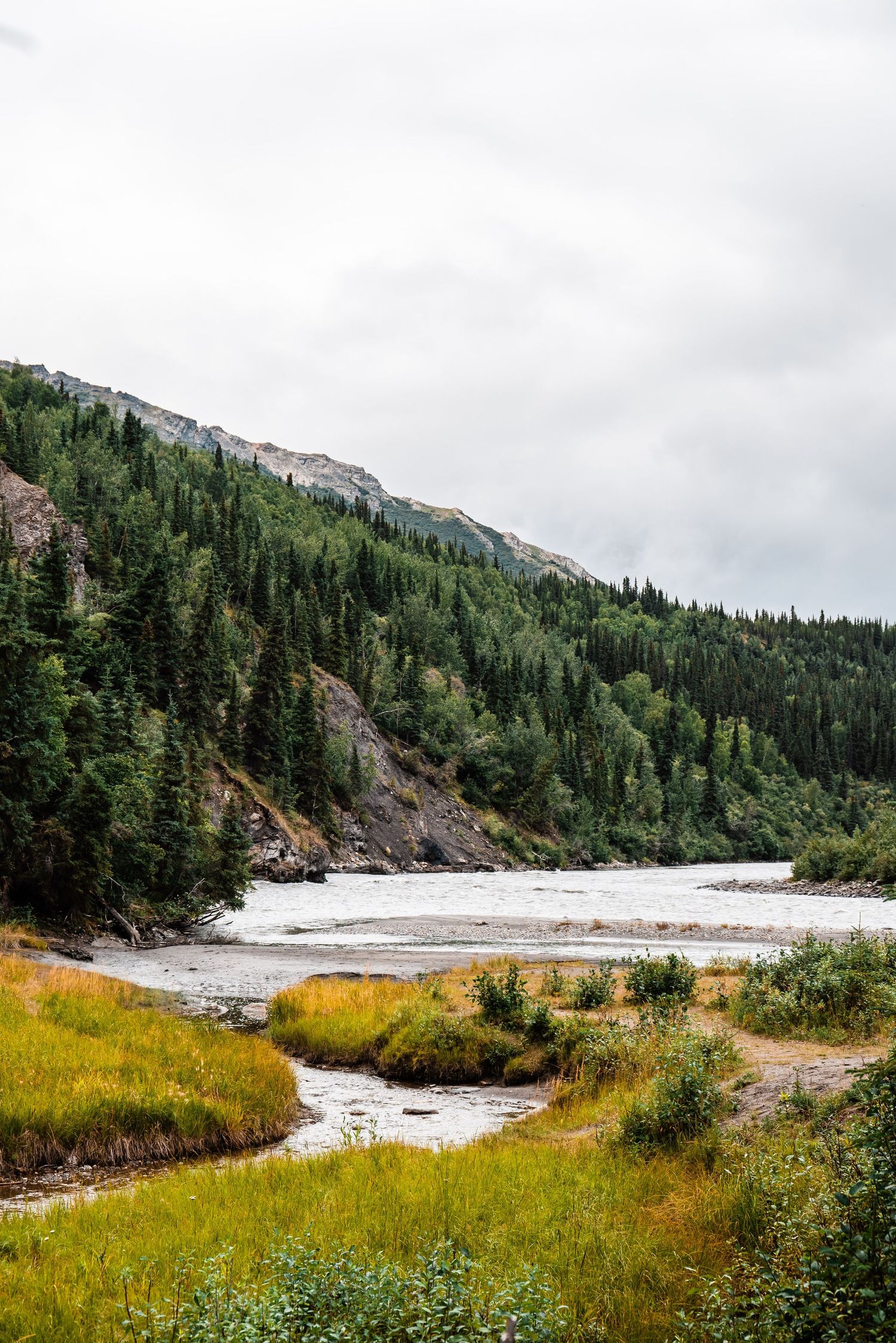 A scenic river winding through mountainous terrain with evergreen forests and yellow grass along the shoreline.