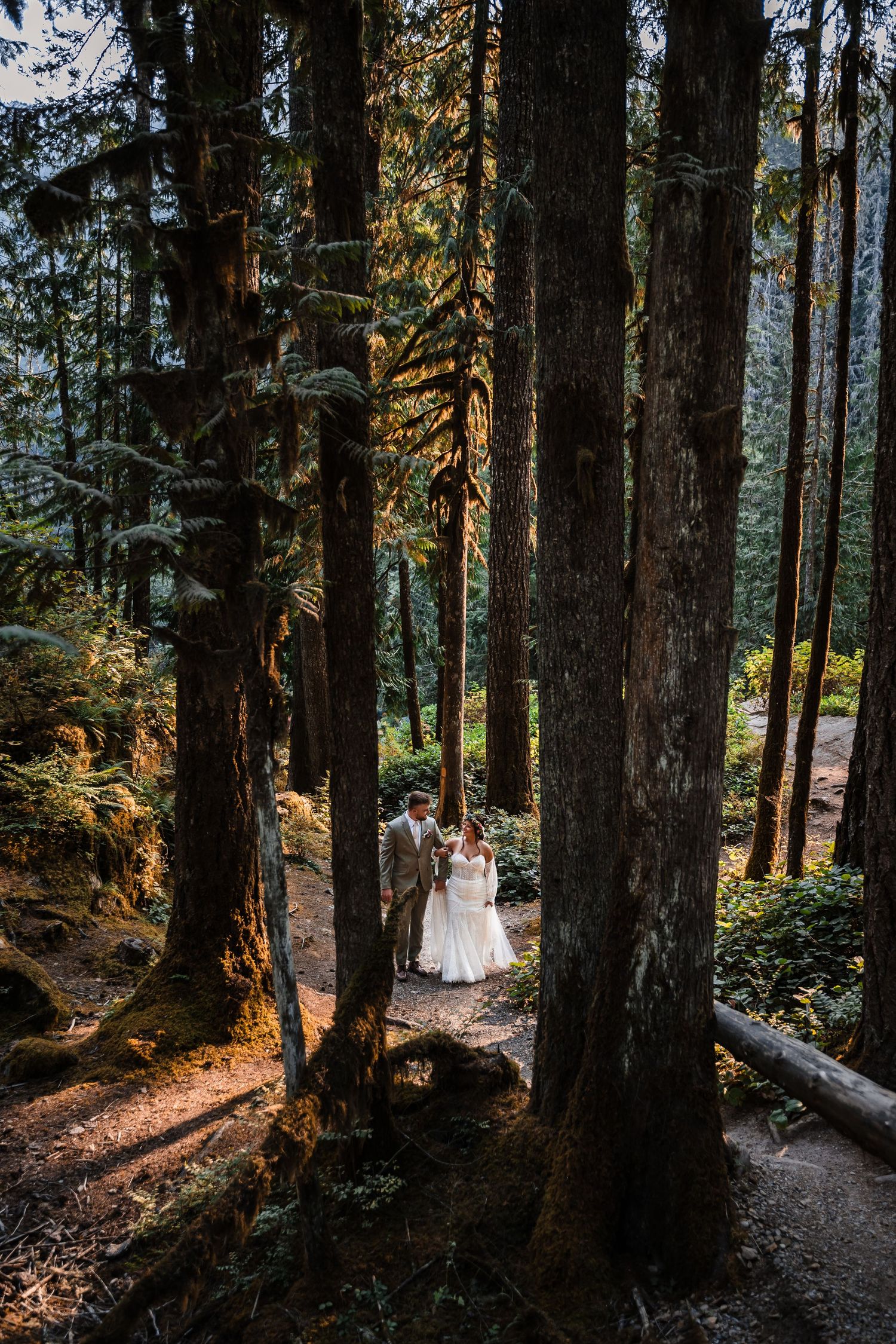Sunlit forest path winds through tall evergreen trees with wedding couple in the distance.