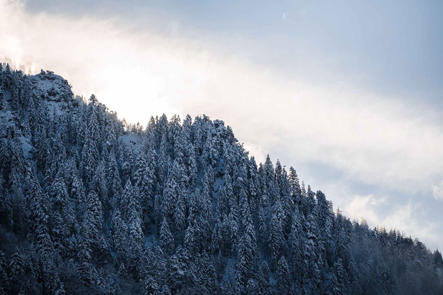 Snow-covered mountain peaks rise against a cloudy winter sky in a panoramic landscape view.