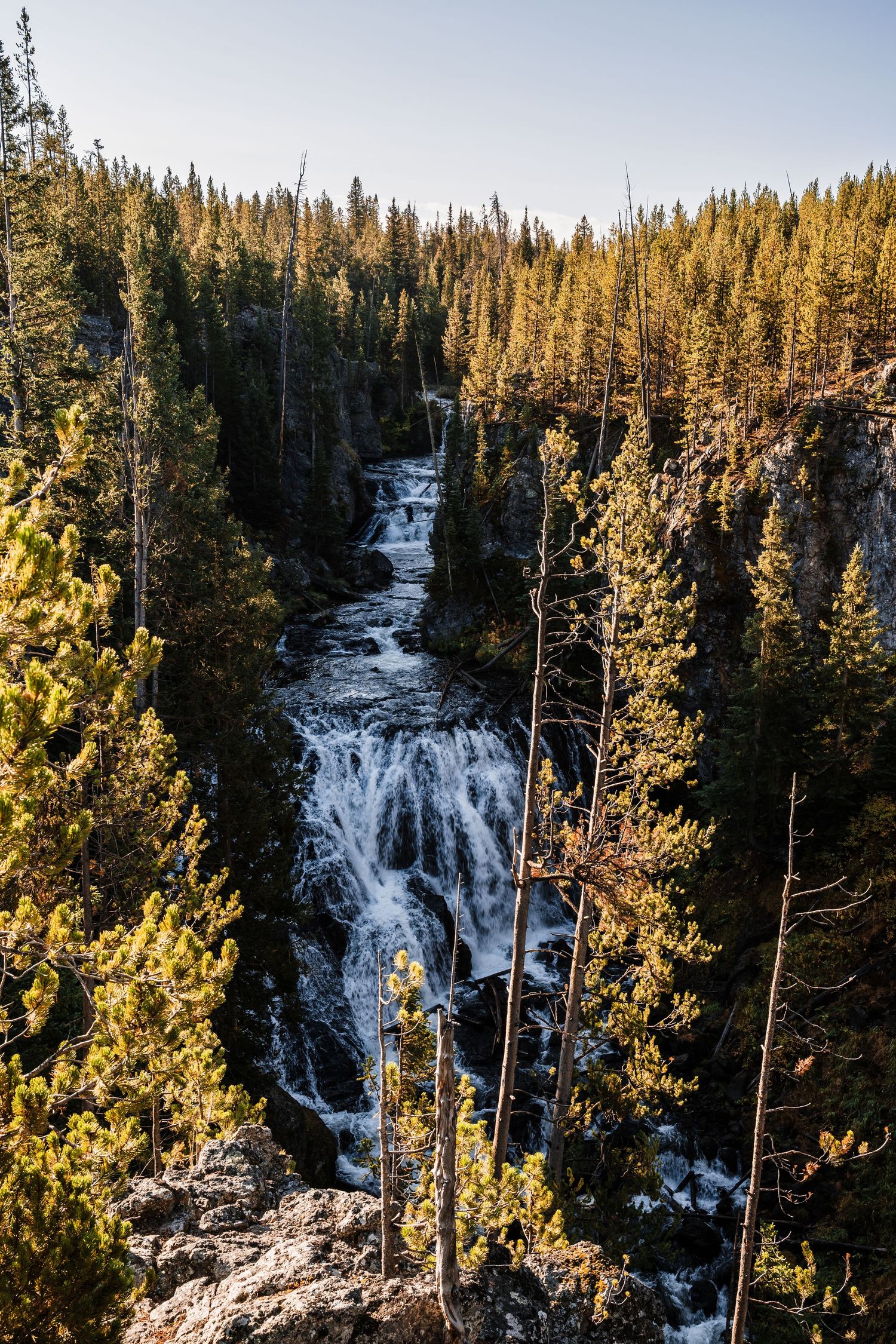 Cascading waterfall flows through a rocky canyon surrounded by golden-lit pine trees in a mountainous wilderness.