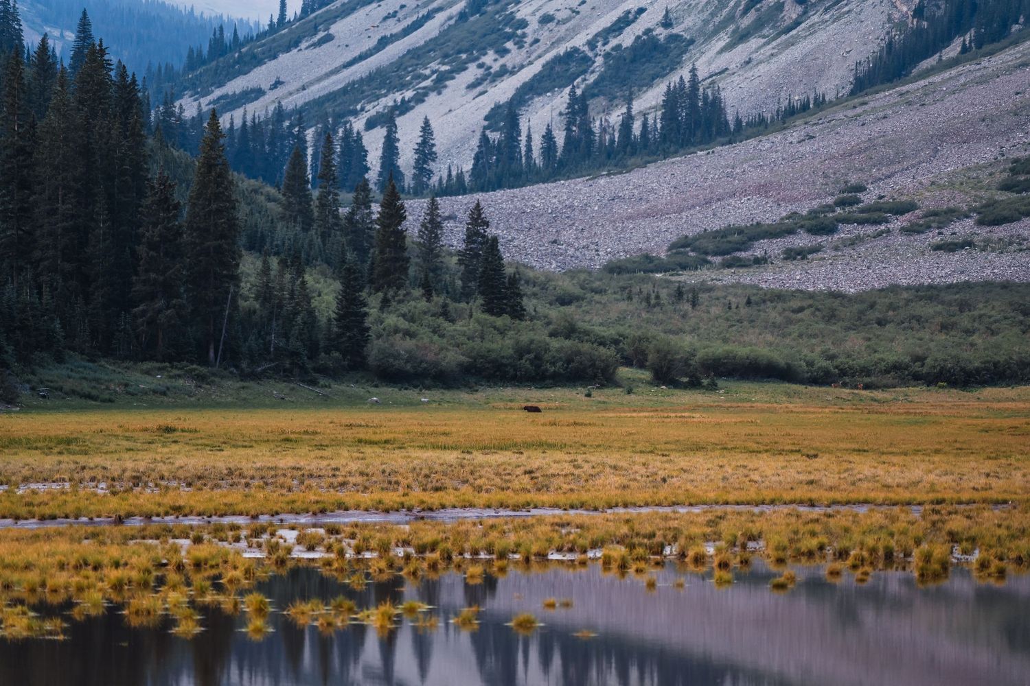 A serene mountain valley with golden meadows, evergreen trees, and a reflective lake beneath rocky slopes.