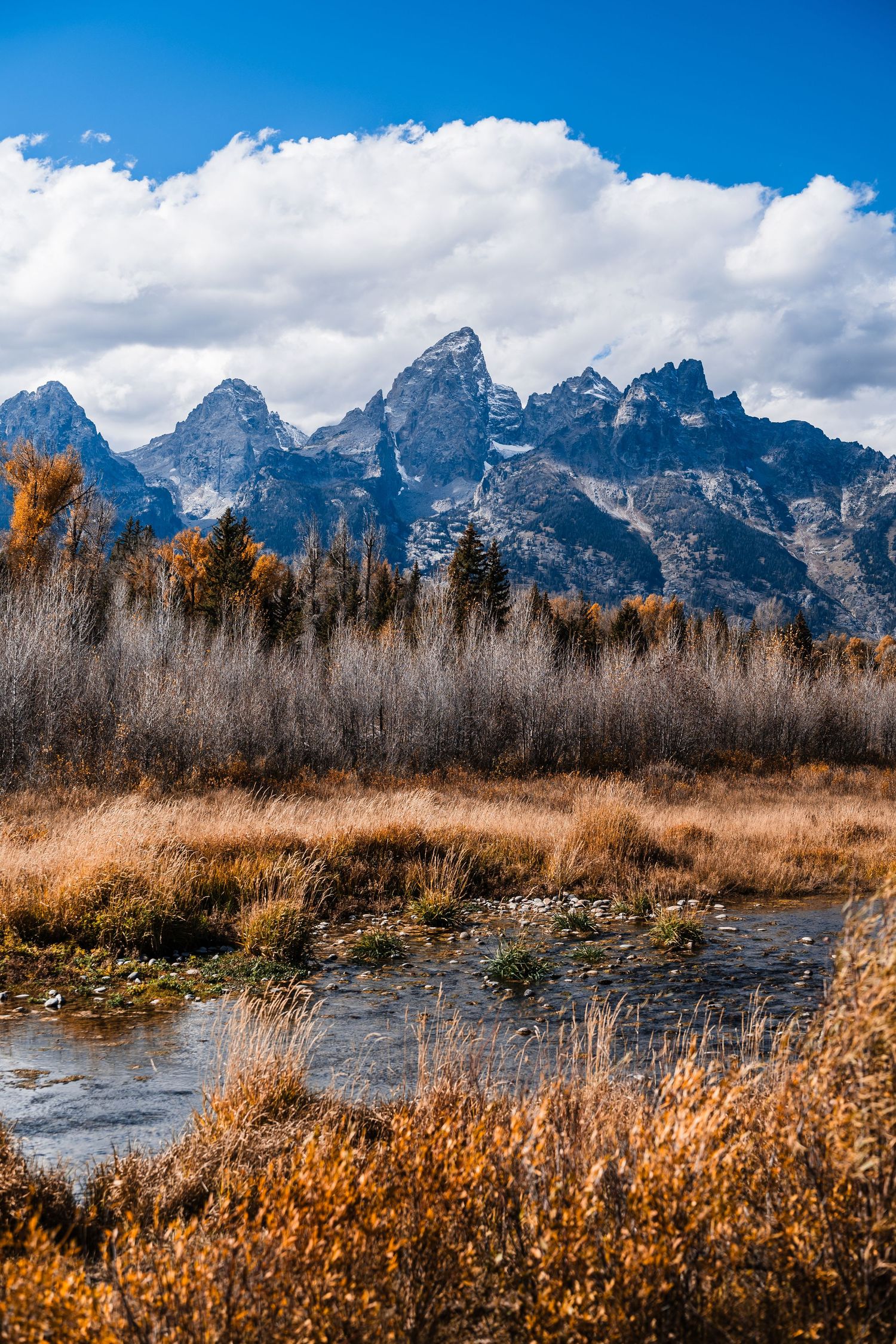 Dramatic mountain landscape with golden autumn grasses and snow-capped peaks under cloudy skies at Grand Teton National Park.
