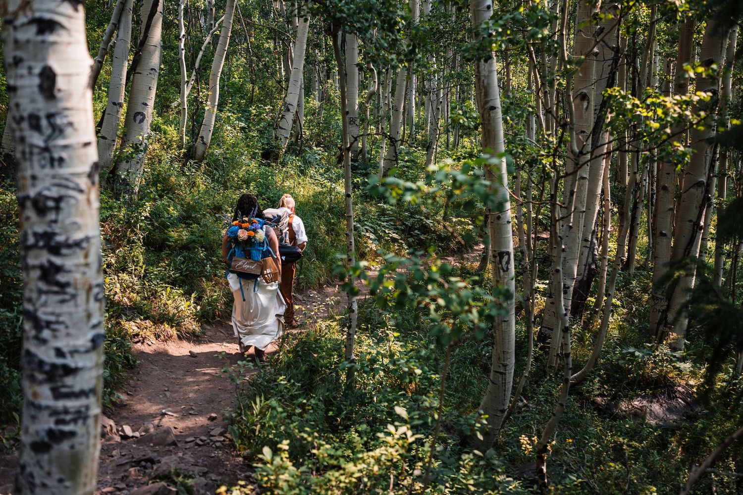 Newlyweds with backpacks hike through sunlit aspen forest during elopement adventure.
