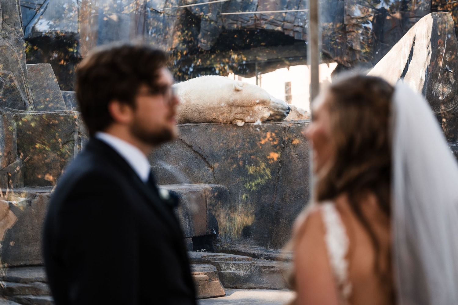 Wedding couple in silhouette against textured glass background.