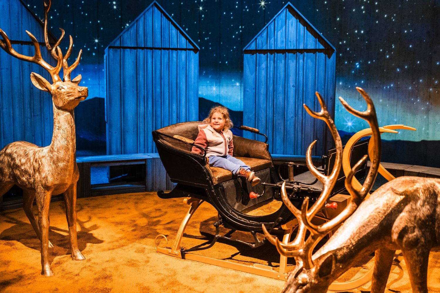 Illuminated reindeer and sleigh decorations glow against blue-lit buildings in a starry winter night display.