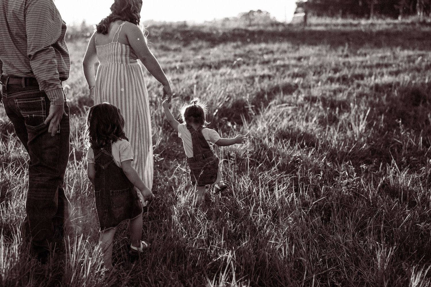 A black and white photo shows a couple embracing in a grassy meadow at sunset.