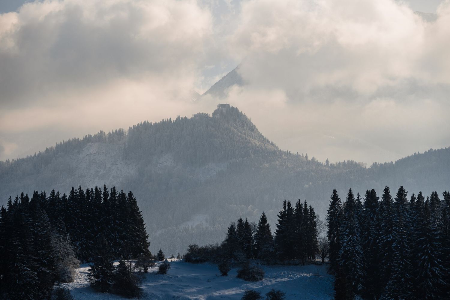 Snow-capped mountain peaks rise above evergreen forests under moody winter clouds.