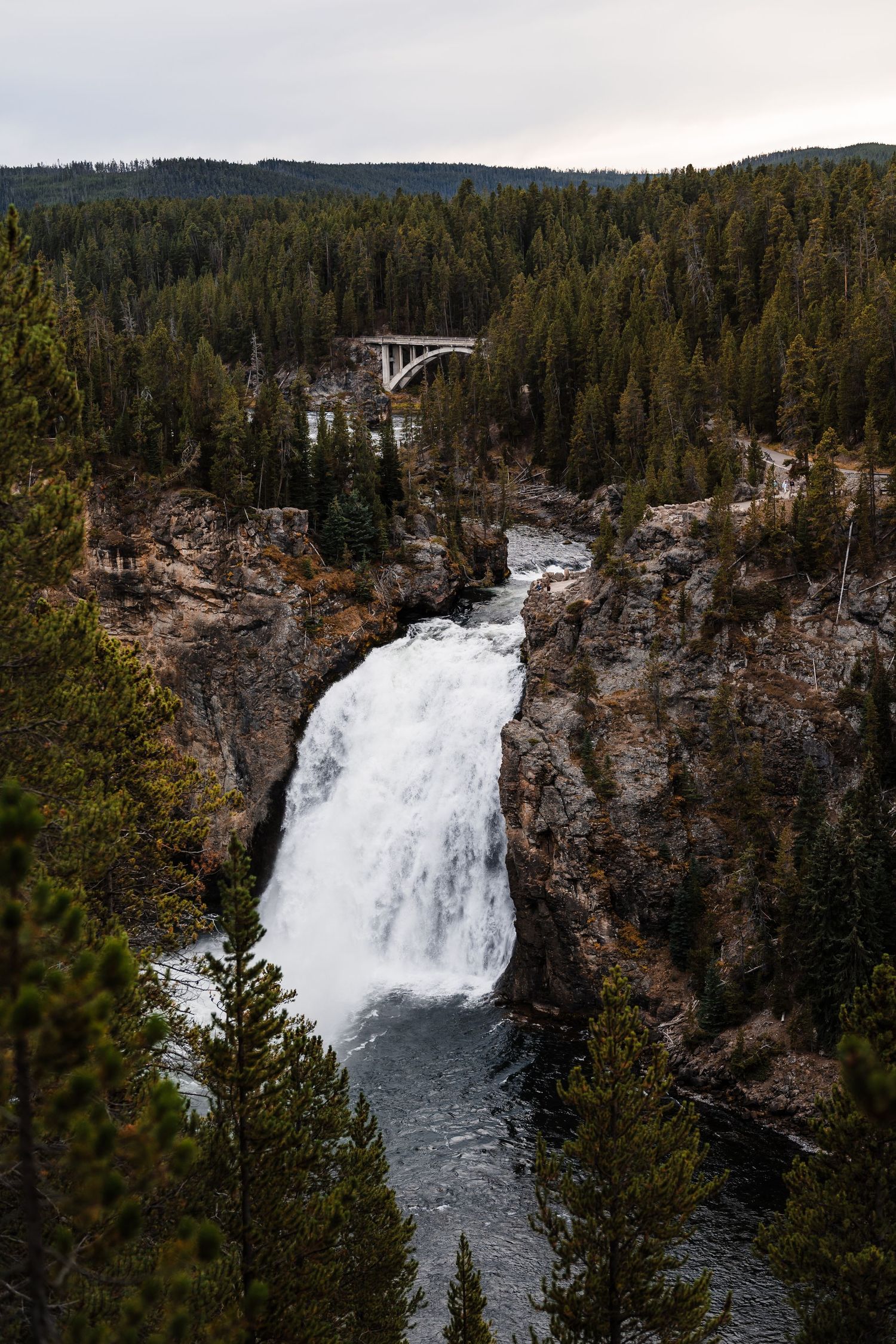 Upper Falls at Yellowstone National Park cascades dramatically over rocky cliffs surrounded by evergreen forest.