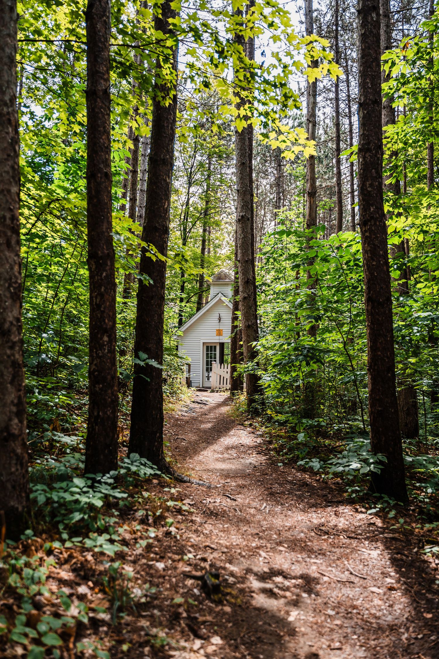 A dirt path through a lush green forest leads to a small white cottage nestled among tall trees.