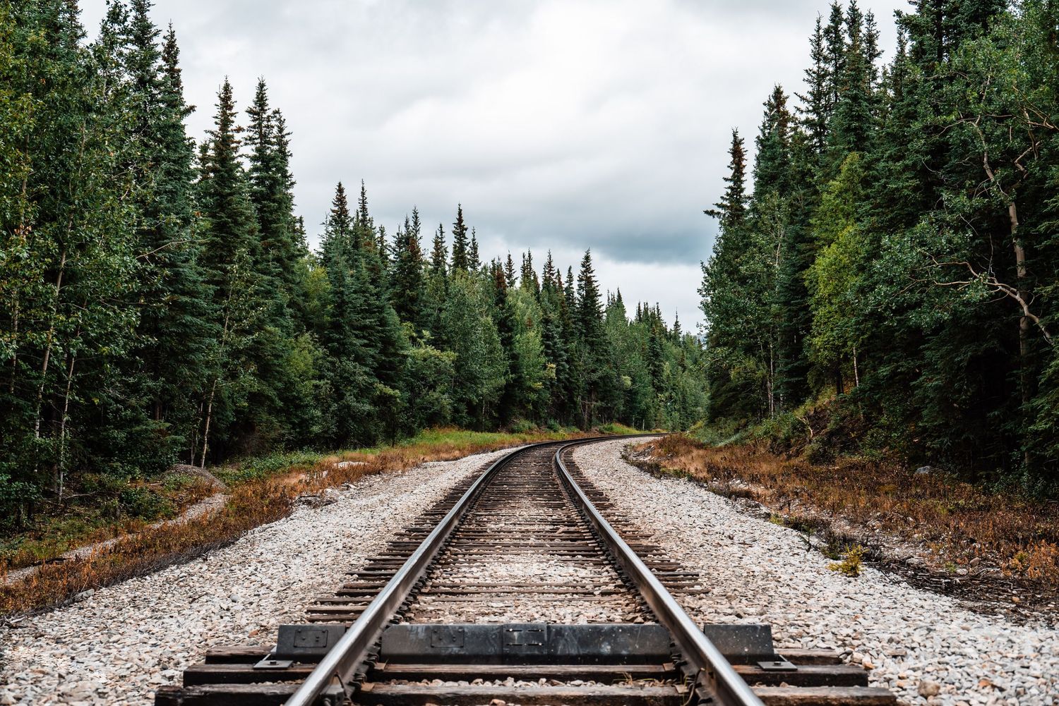 Railroad tracks curve through a dense evergreen forest under an overcast sky.