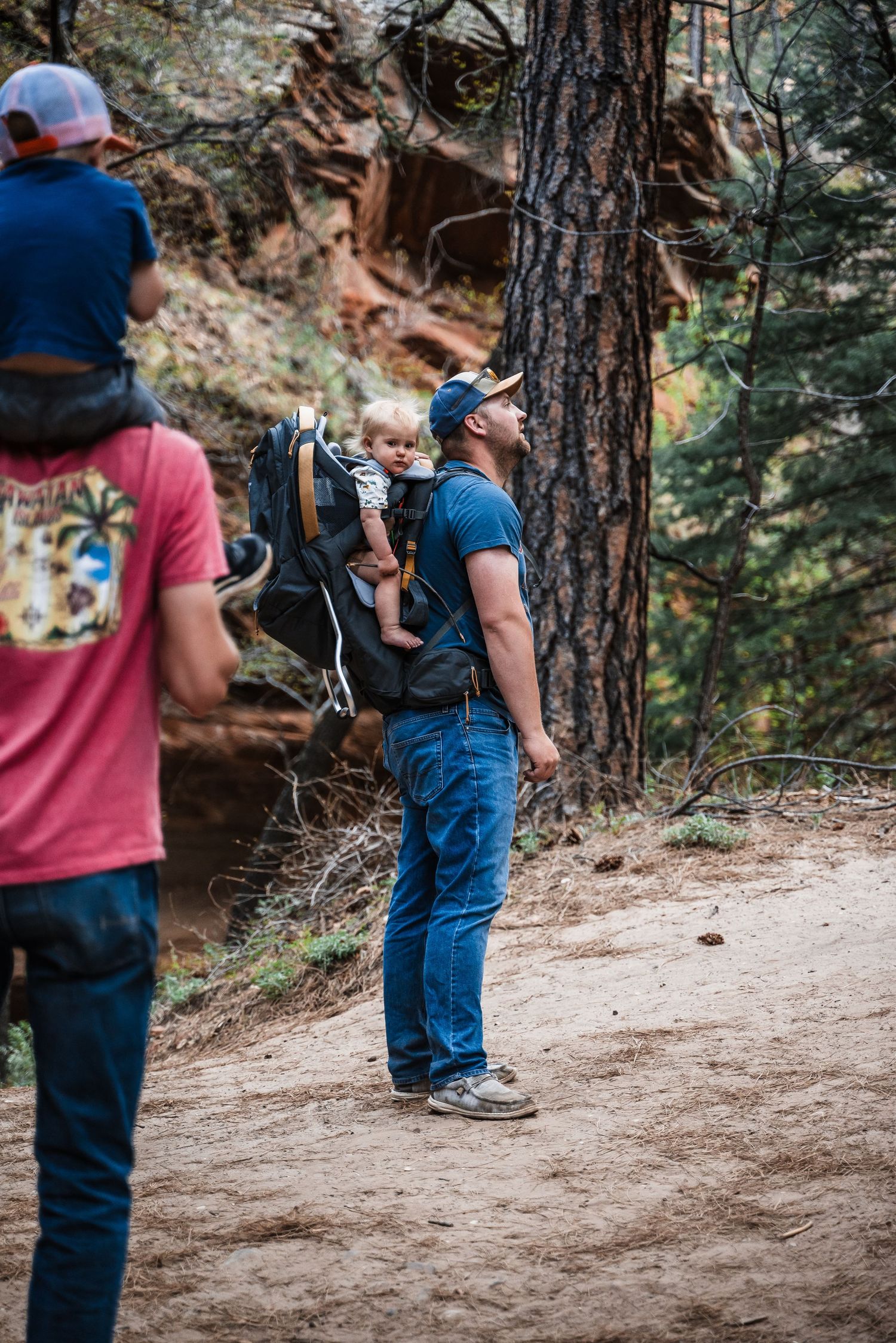 Hikers pause on a dirt trail surrounded by tall pine trees and rocky terrain in a forest setting.