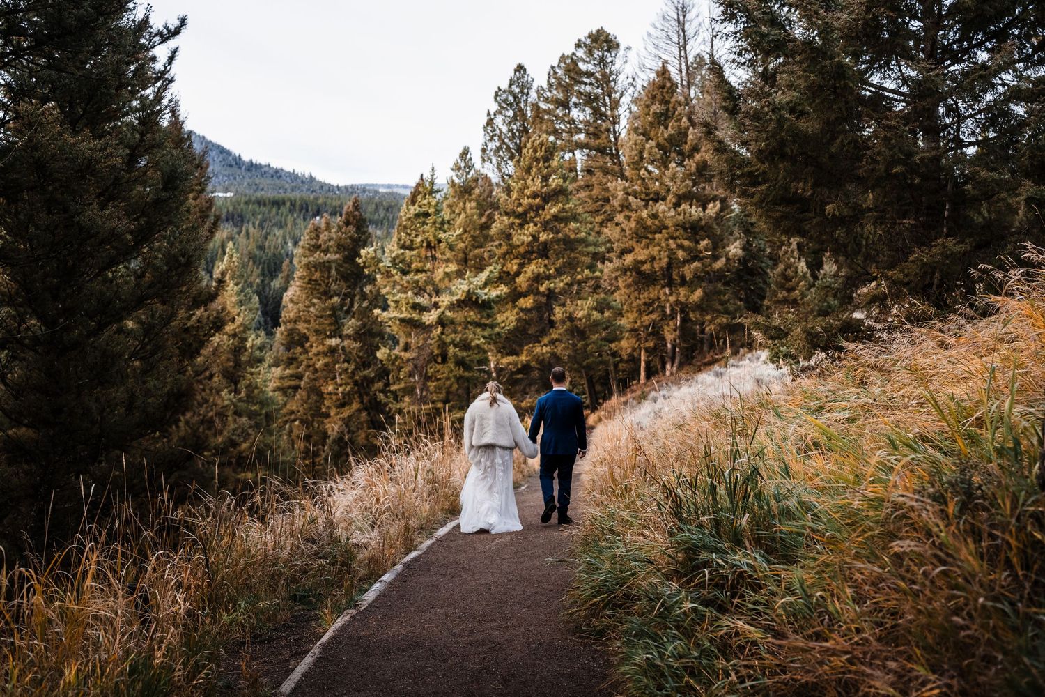 A wedding couple walks along a scenic mountain trail surrounded by evergreen trees.