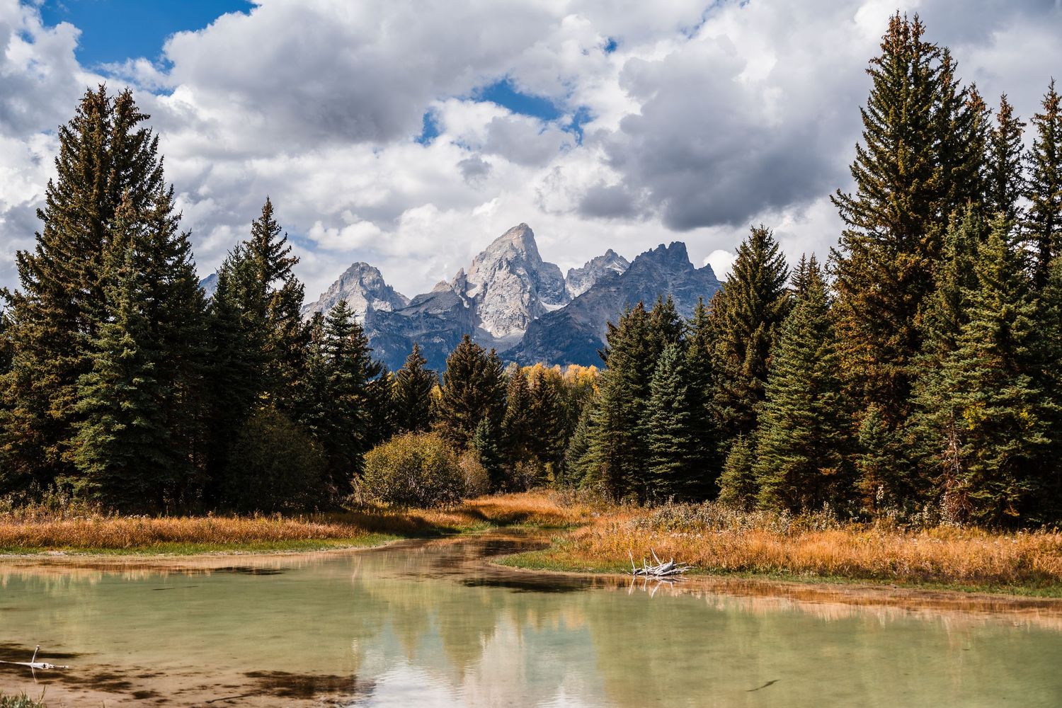 Panoramic mountain vista with evergreen forest and golden meadows under dramatic cloudy sky.