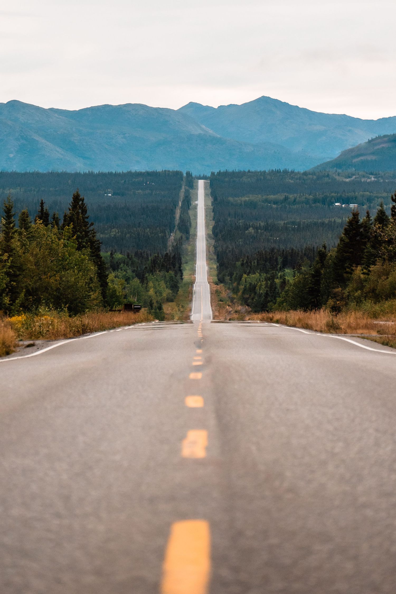 A straight paved road stretches toward distant mountains through a forested landscape with yellow lane markings.