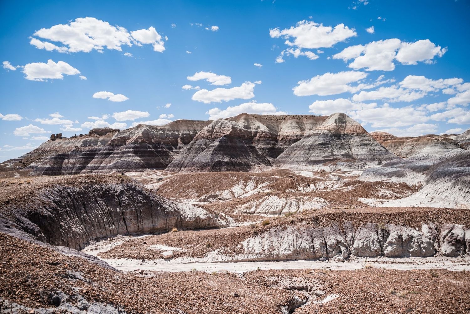 Sweeping desert vista with striped rock formations and white mineral deposits under blue sky.