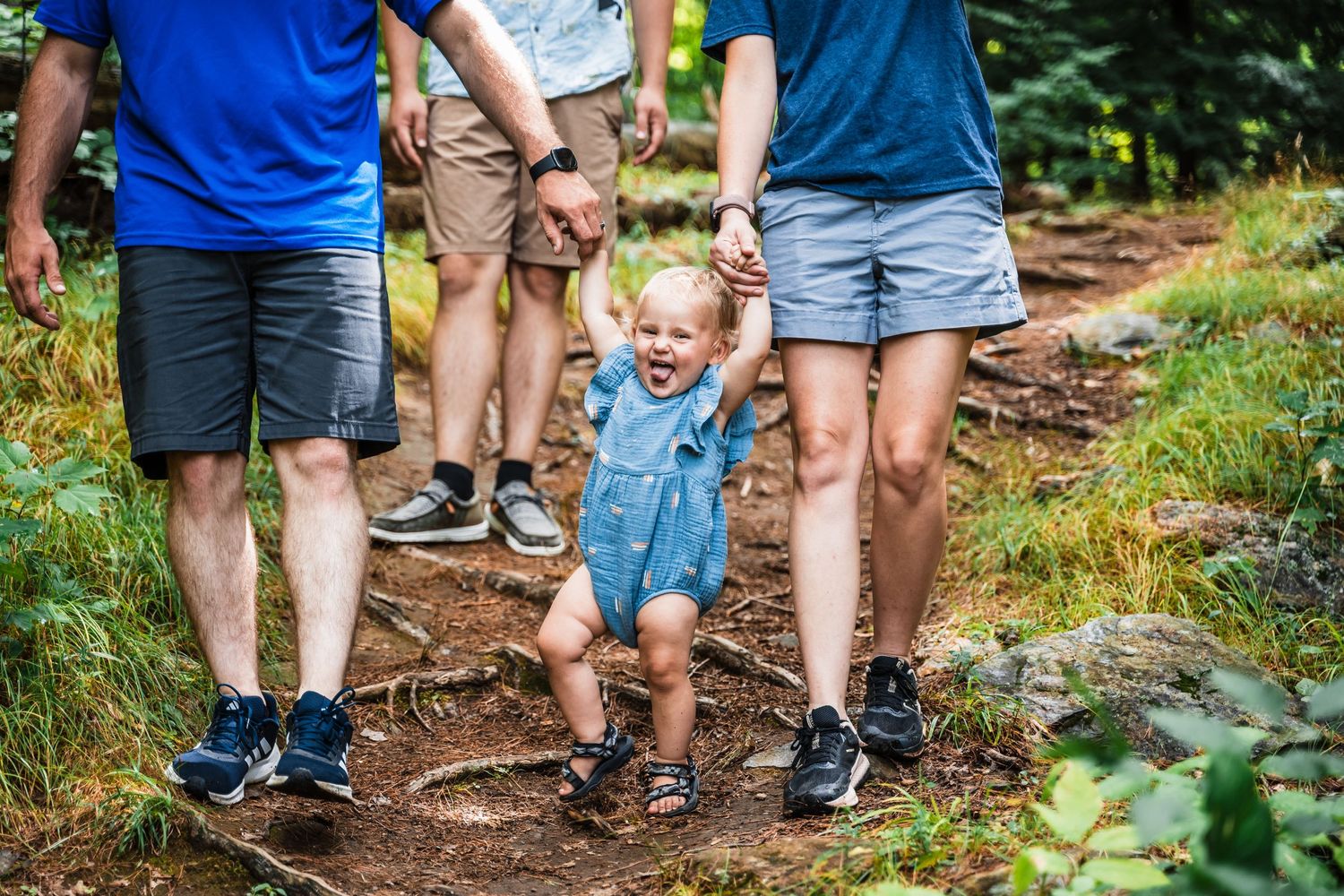 Family hiking together along a scenic forest trail on a summer day.