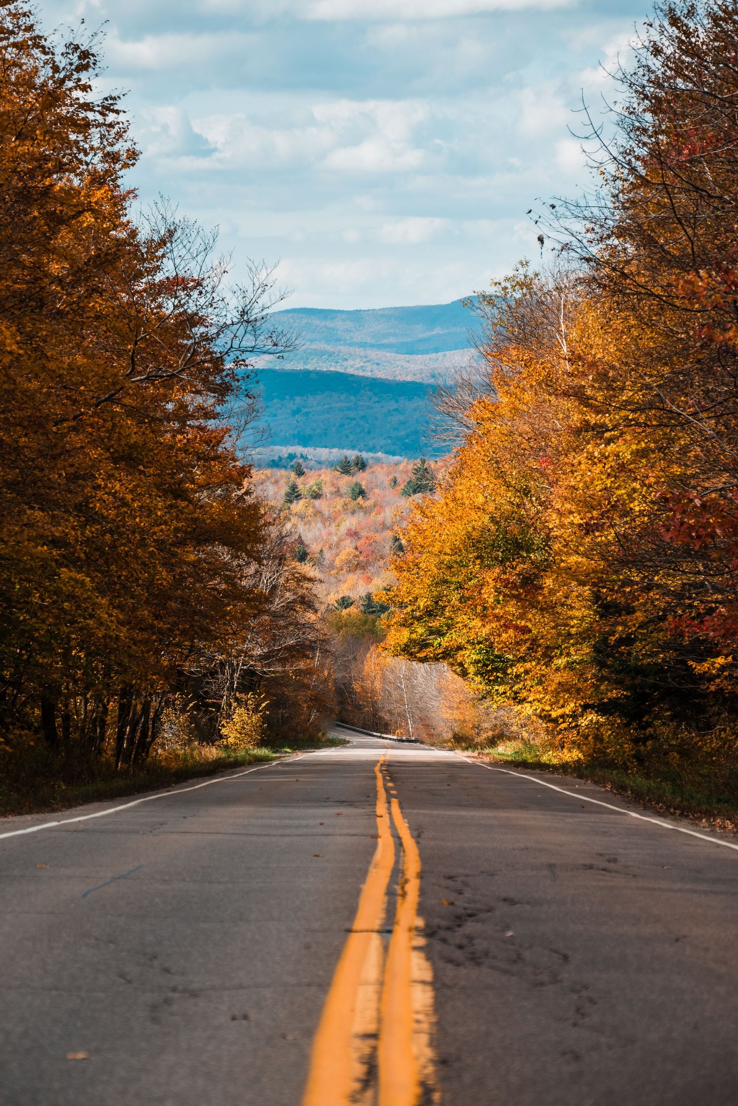 A winding road through autumn trees with vibrant orange foliage leads toward distant blue mountains under a cloudy sky near Stowe, Vermont.