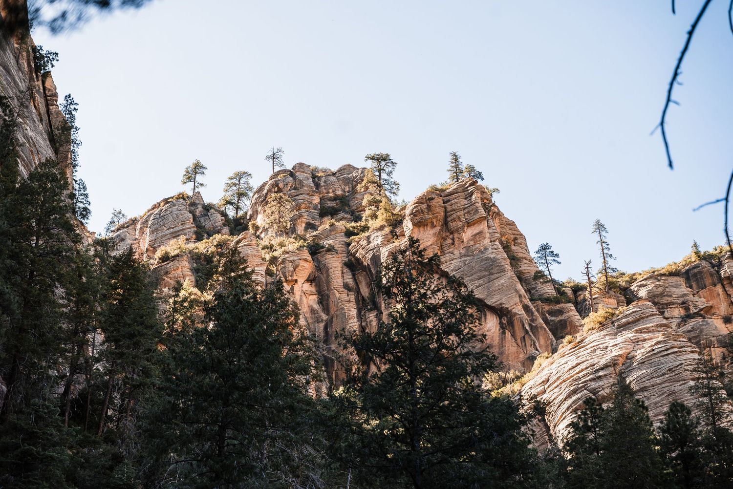 Steep sandstone cliffs and rocky formations rise above pine trees in a mountainous landscape at sunset.