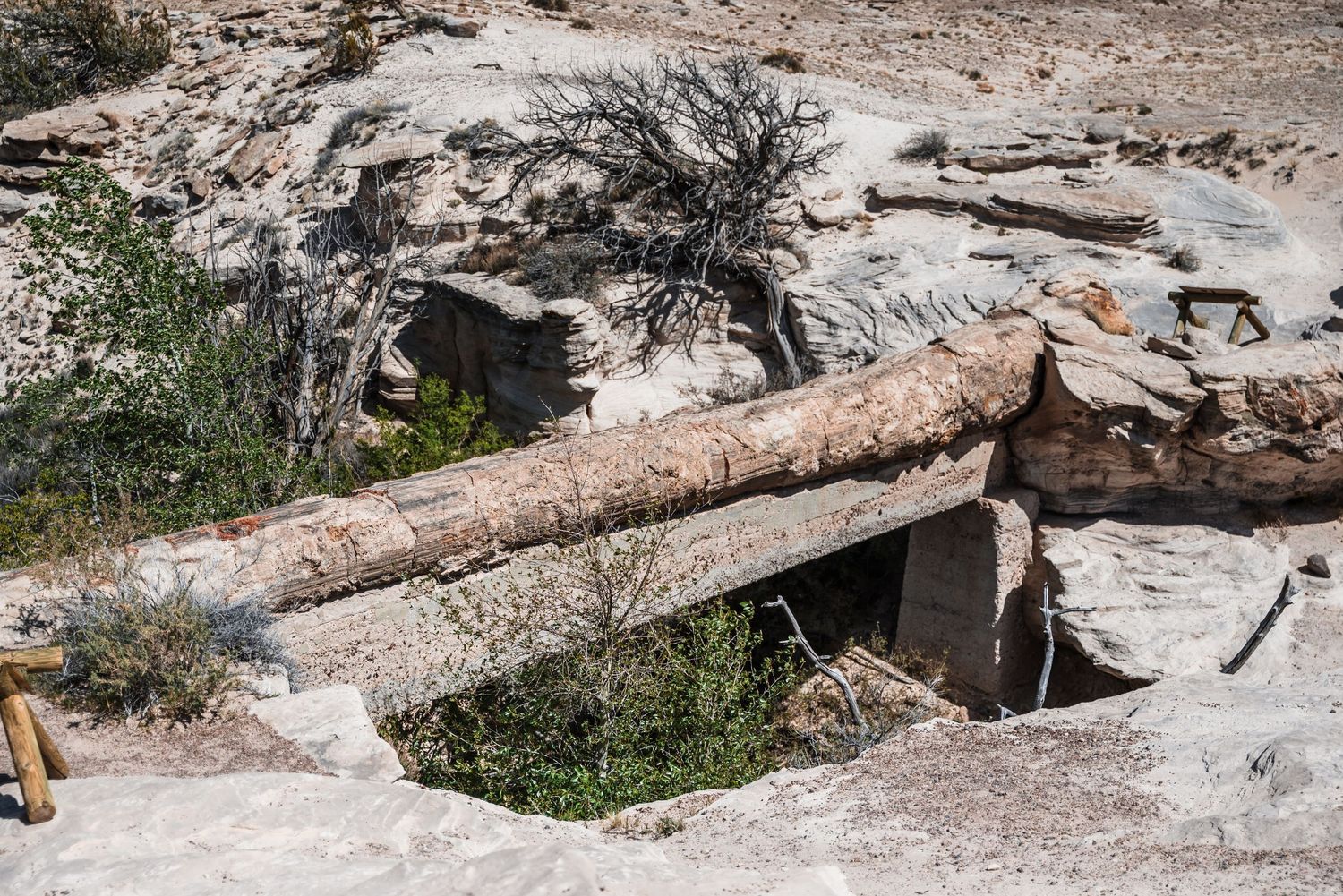 Petrified log bridge formation over rocky desert terrain with sparse vegetation.