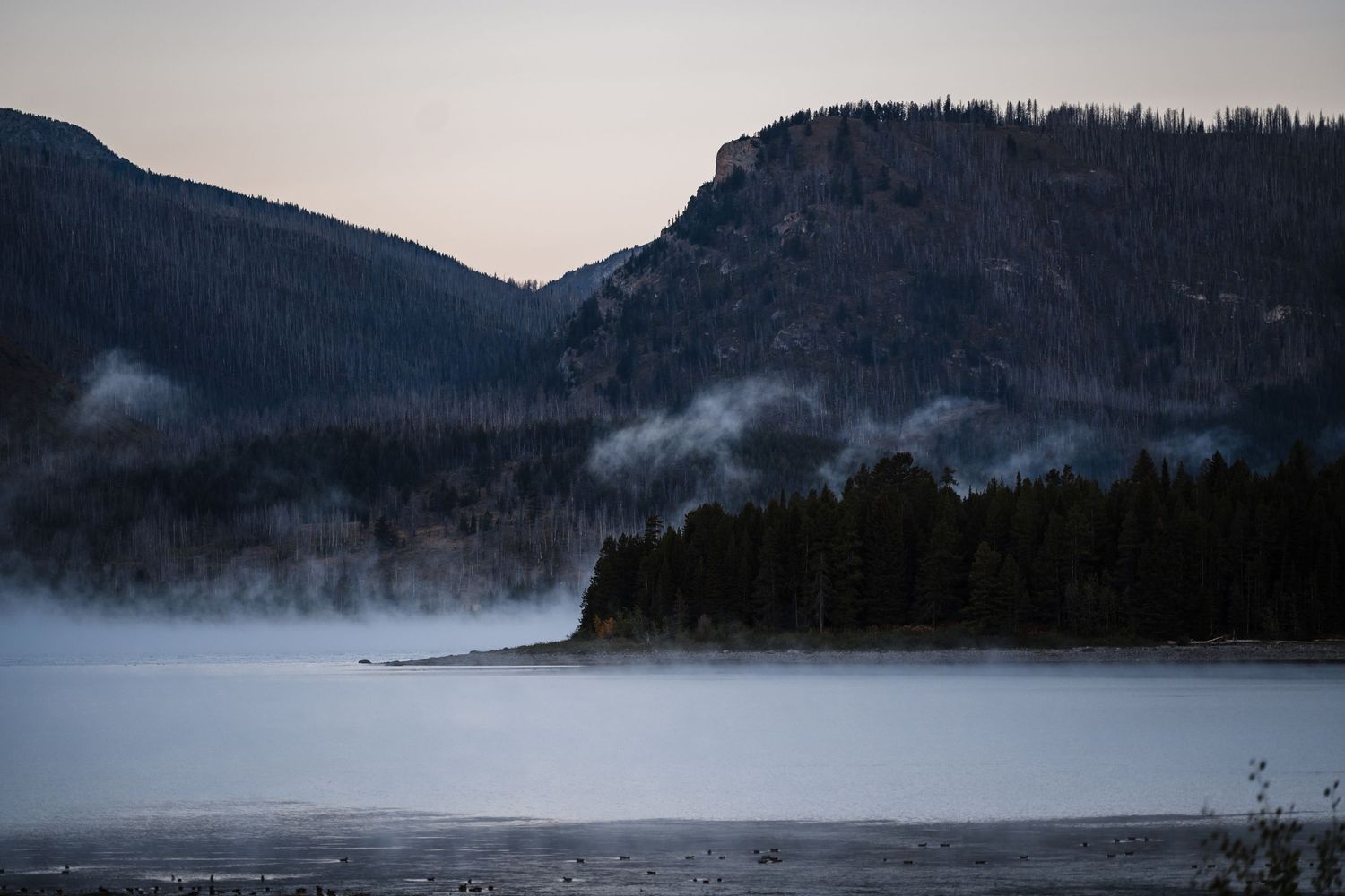 Panoramic view of a misty mountain lake surrounded by evergreen forests at dusk.