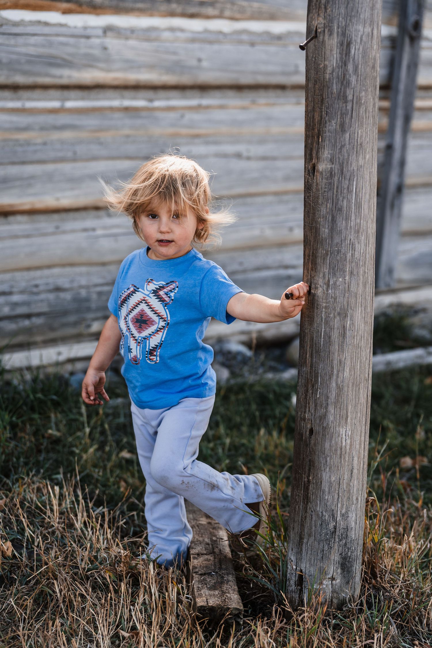 A young child in a blue shirt and gray pants plays near wooden fence posts in a rustic outdoor setting.