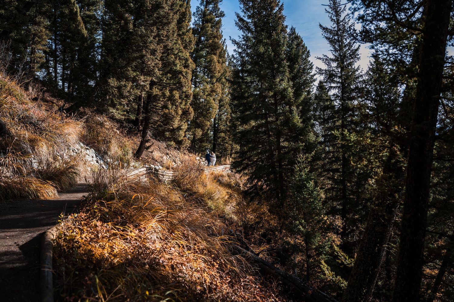 A winding mountain trail through evergreen forest with autumn foliage and rocky terrain.