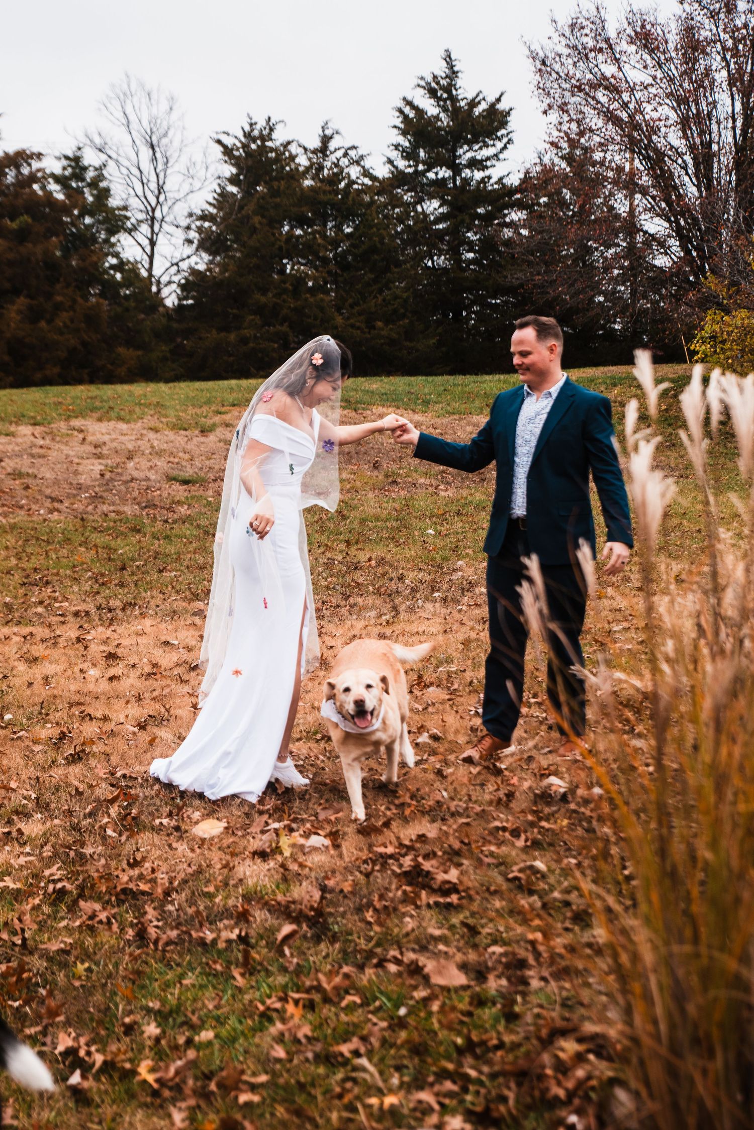 Wedding couple walks through a fall field with their dog wearing a special bandana.