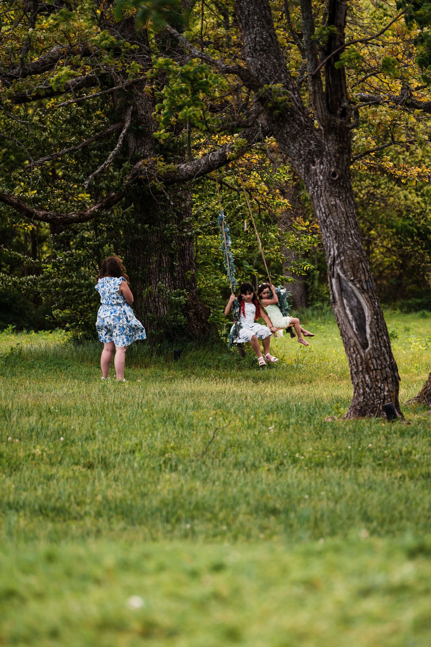 Children playing on a rope swing hanging from a large tree in a lush green meadow.