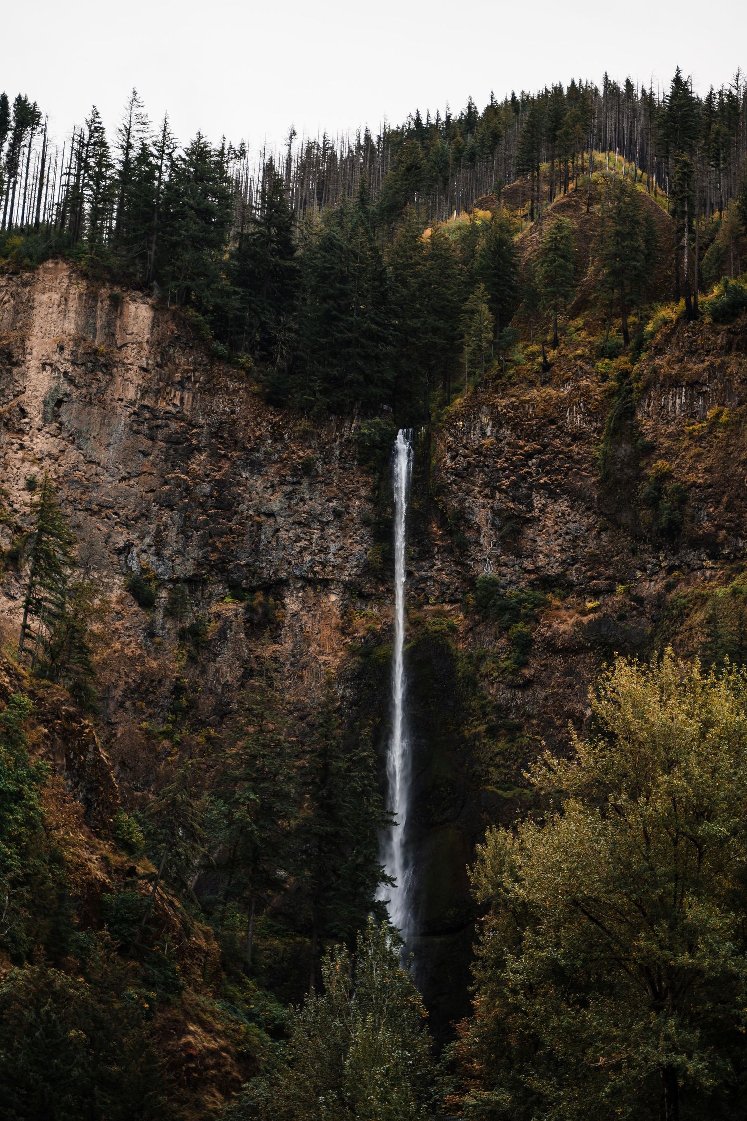 A tall waterfall cascades down a rocky cliff face surrounded by evergreen forest and autumn foliage in moody lighting.