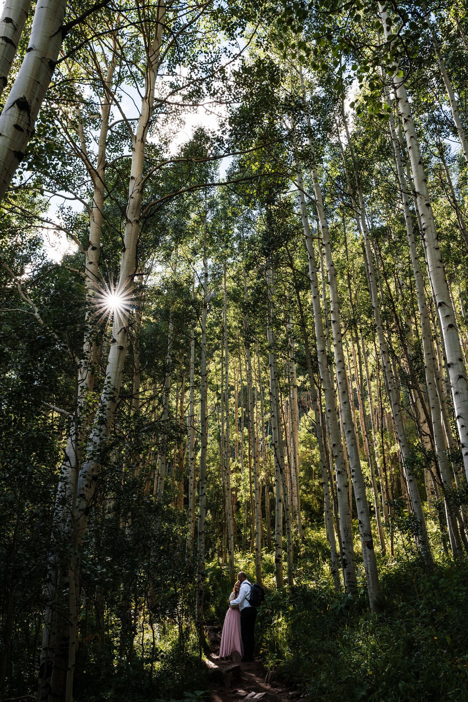 Sunlight streams through tall aspen trees in a forest with a figure in pink on the trail below.