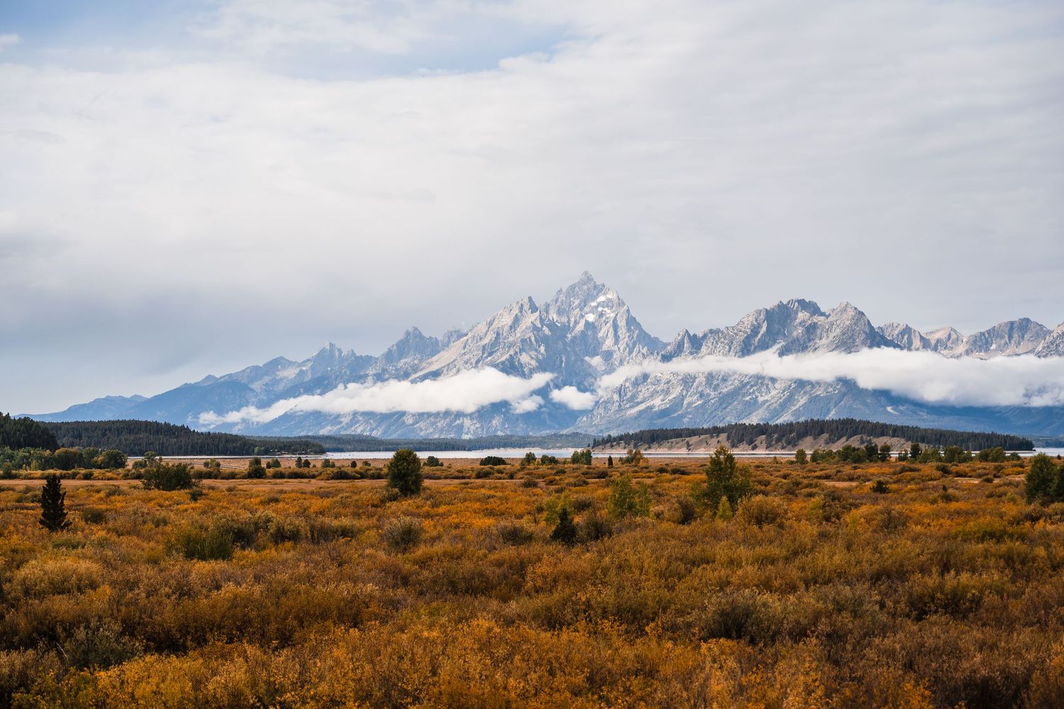 Panoramic view of snow-capped Teton mountain range with autumn grasslands in the foreground.