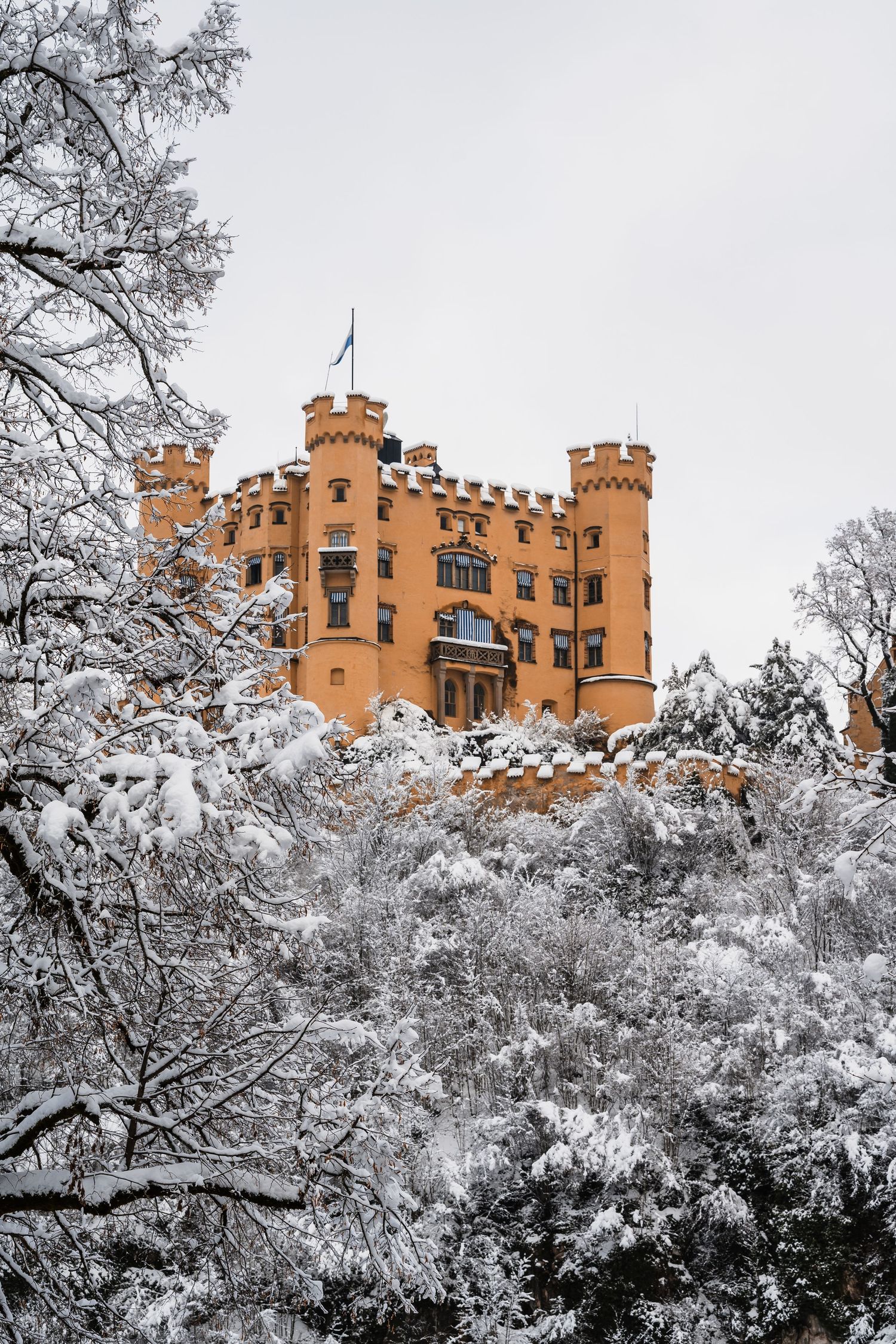 Orange castle-like structure with turrets perched on a snowy hillside surrounded by frost-covered trees.