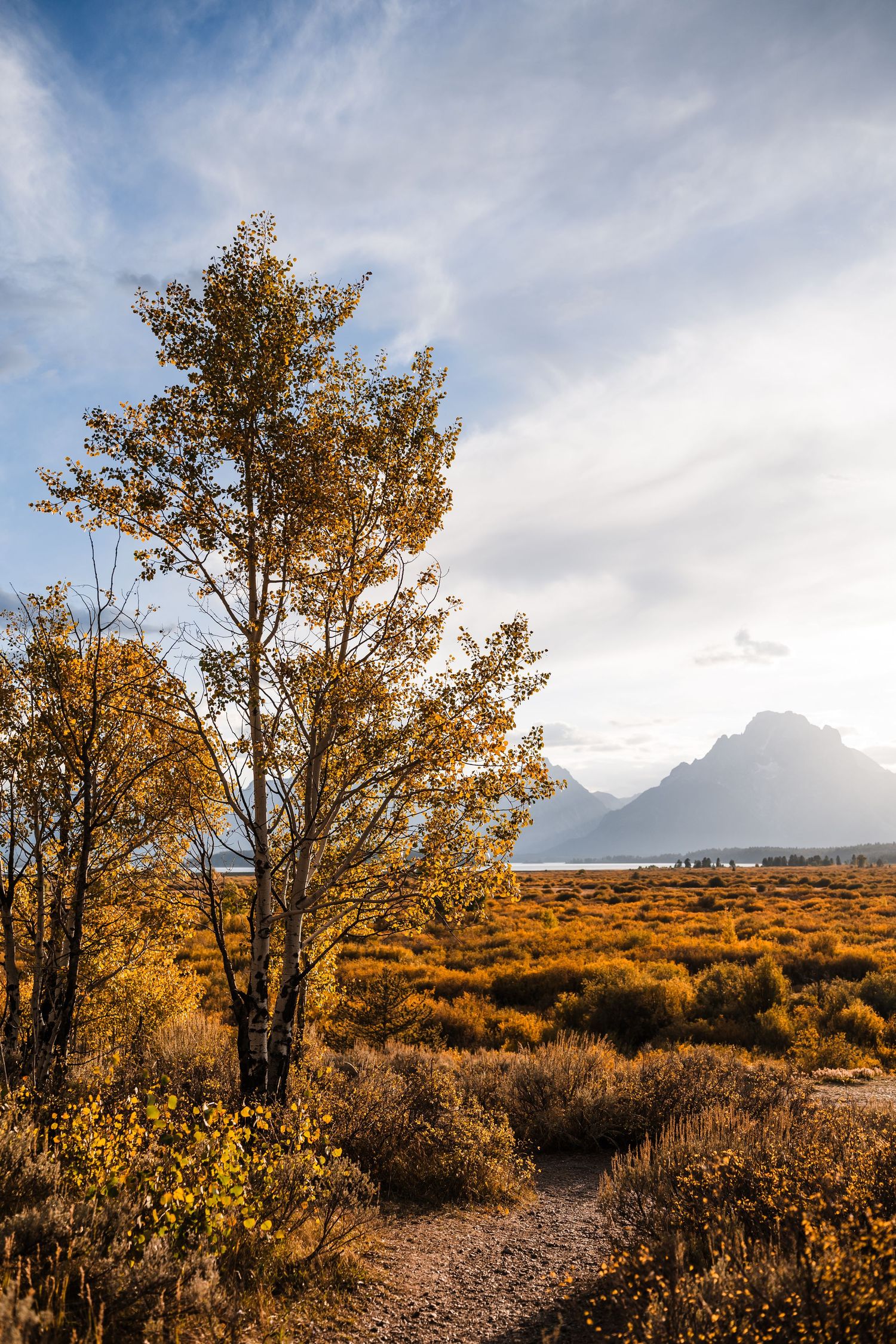 Golden autumn trees frame distant mountain peaks across sage brush plains at sunset.