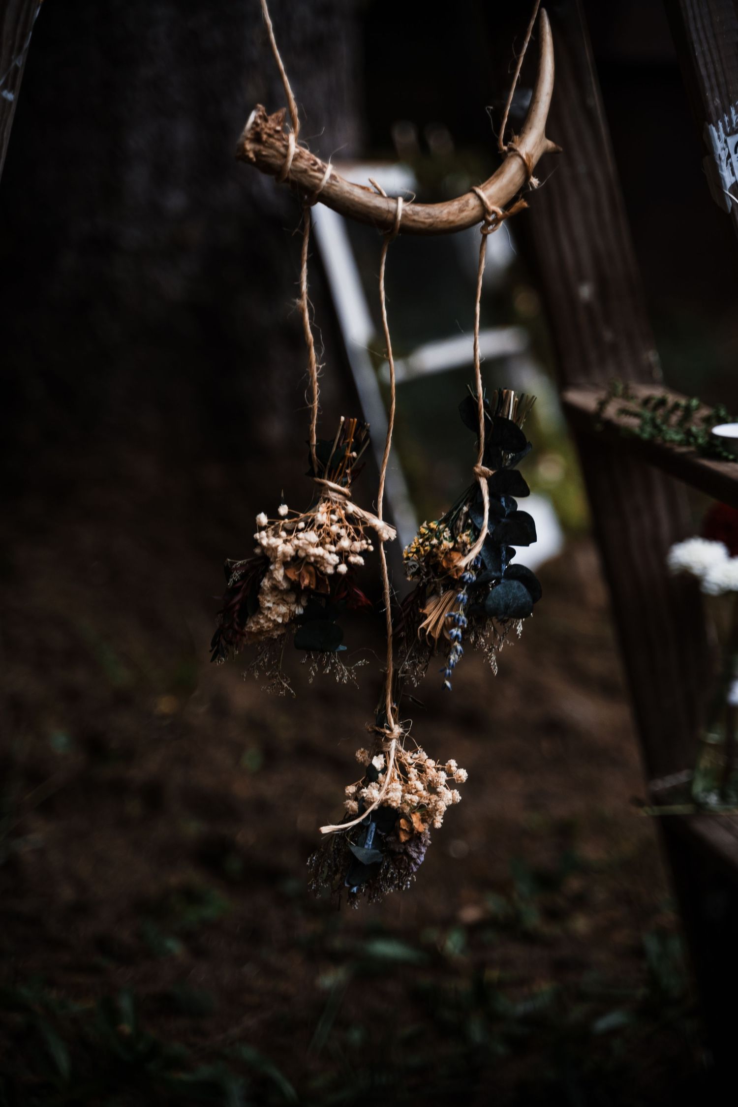 Dried flowers and decorative elements hanging from a rustic branch in dark moody lighting.